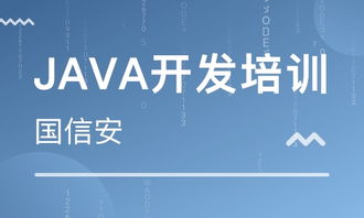 成都四川國信安職業培訓學校 河北新聞網推薦品牌，專注軟件外包服務